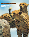 2005 Annual Report