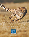 2009 Annual Report