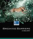 2013 Annual Report 