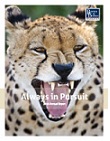 2016 Annual Report
