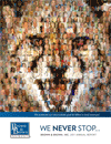2011 Annual Report