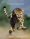 2004 Annual Report